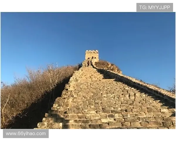 北京快三开奖结果预测技巧与最新走势分析